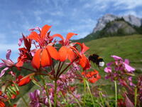 20150913_pillersee (77)