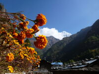 20141105_phakding_namche_bazar (39)