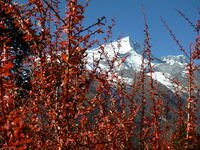 20141106_namche_bazar_thame (50)