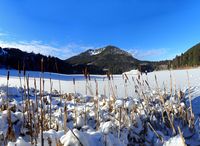 20181227_spitzingsee (17)_stitch